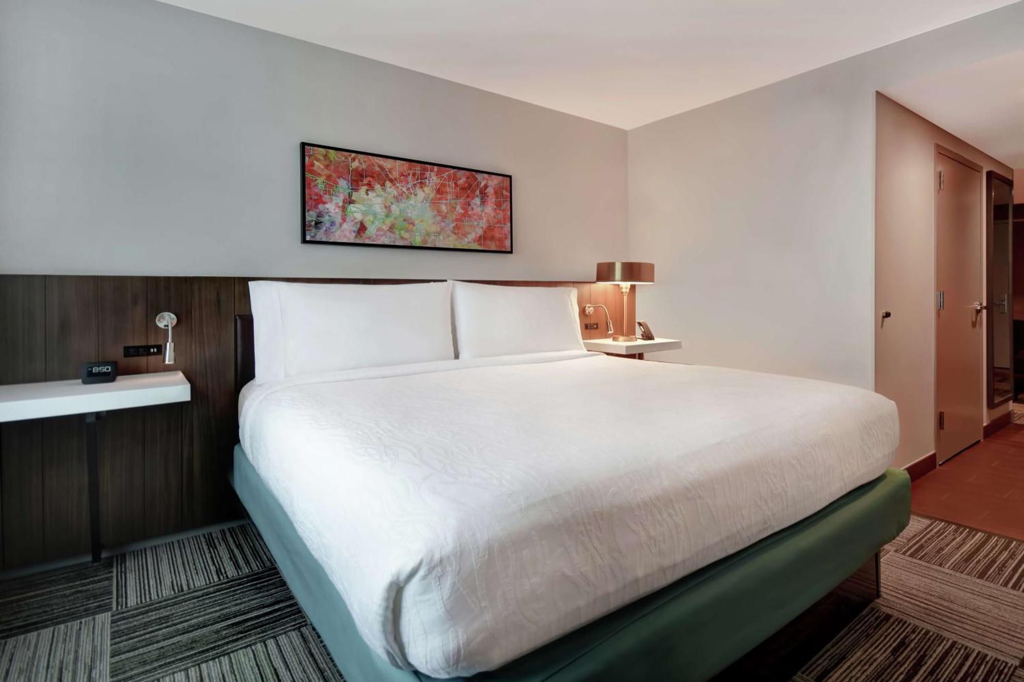 Hilton Garden Houston/galleria Area Houston