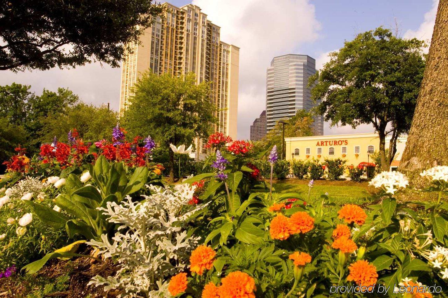 Hotel Hilton Garden Houston/galleria Area