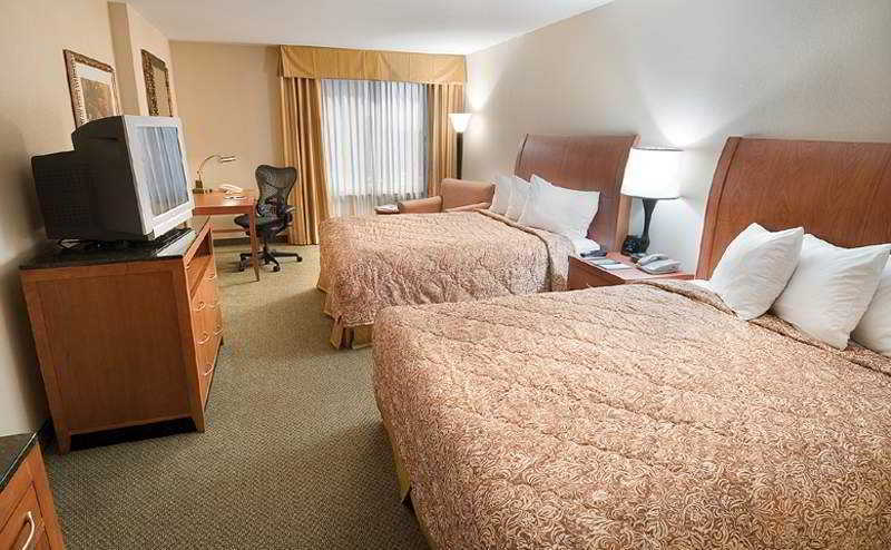 Hilton Garden Houston/galleria Area Hotel