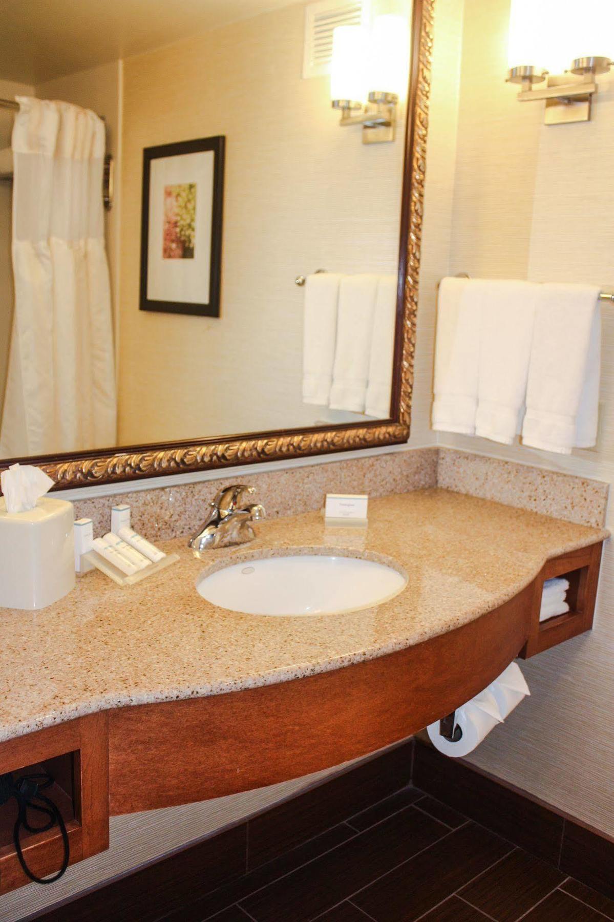 Hotel Hilton Garden Houston/galleria Area 3*