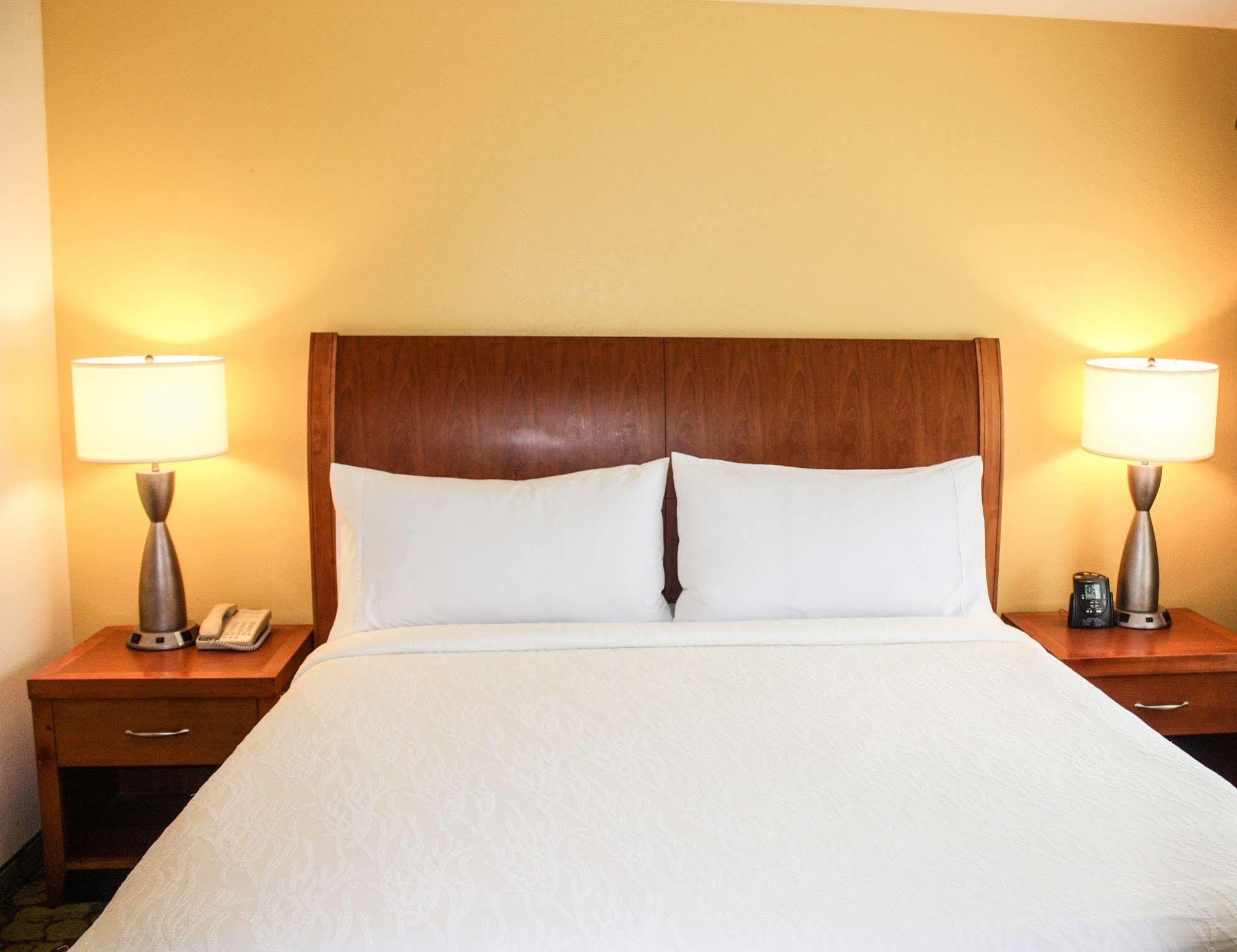 Hilton Garden Houston/galleria Area 3*
