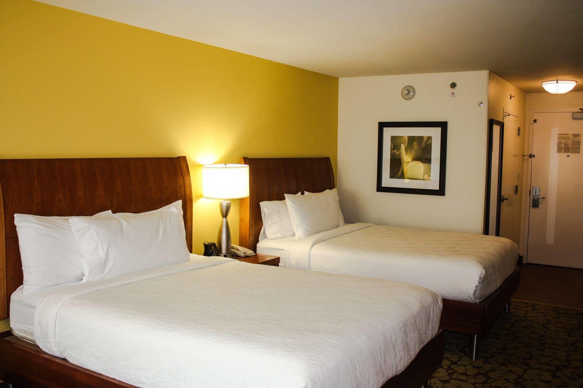 Hotel Hilton Garden Houston/galleria Area Houston