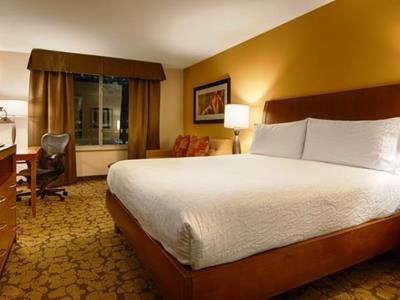 Hilton Garden Houston/galleria Area Hotel Houston